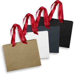 Medium Ribbon Handle Paper Bag